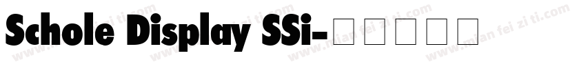 Schole Display SSi字体转换